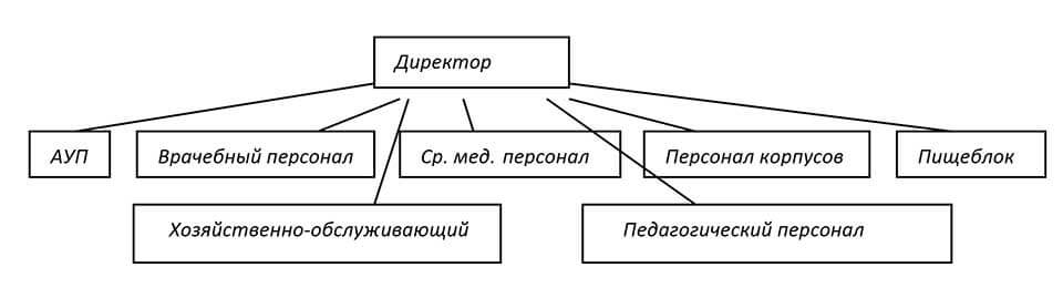 Структура организации